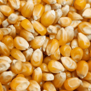Maiz Palomitas 250gr