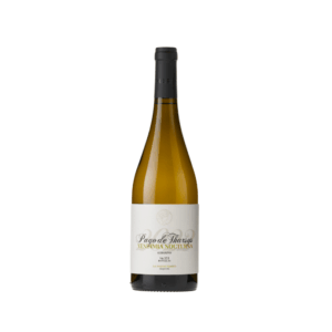 Vendimia Nocturna Albariño - Pago de Tharsys